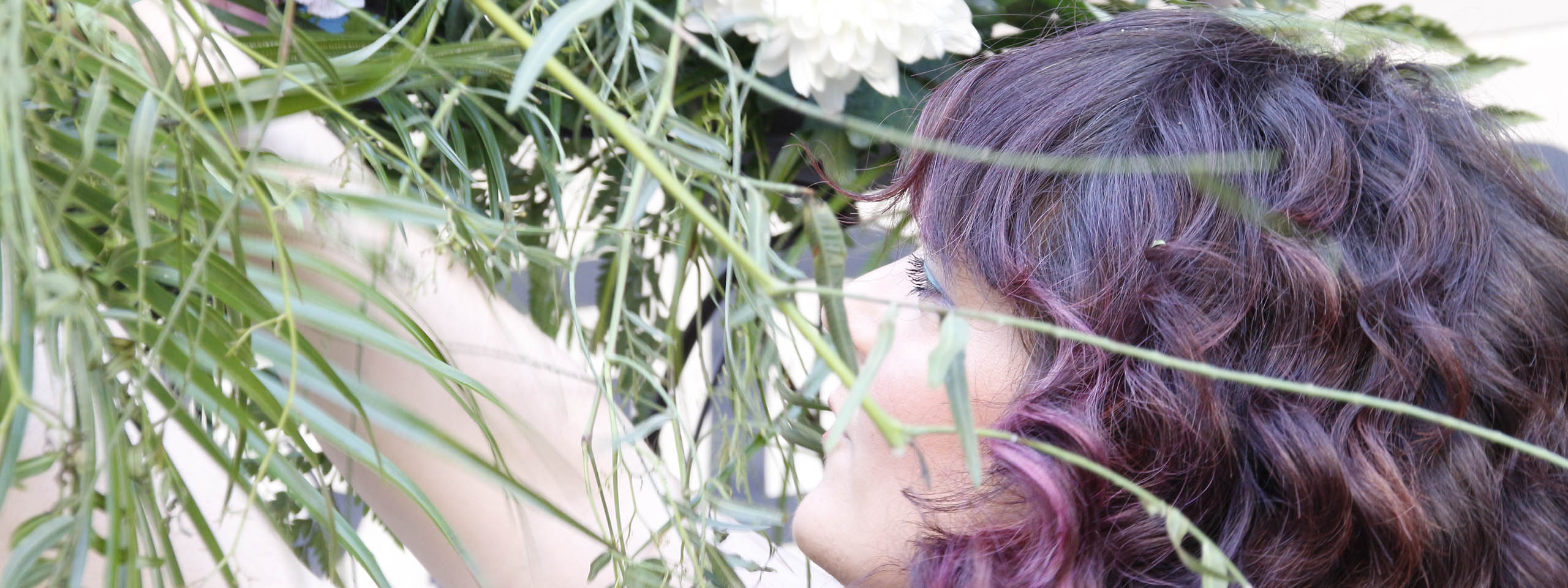 Banner Ana
